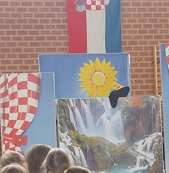 foto/PINGVIN U HRVATSKOJ 3