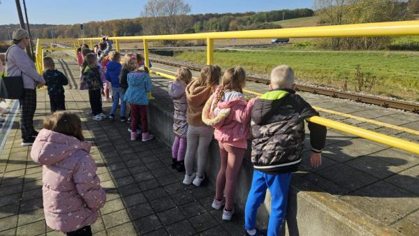 foto/IMG-54d81d295844e366cebc2da3323ee51b-V