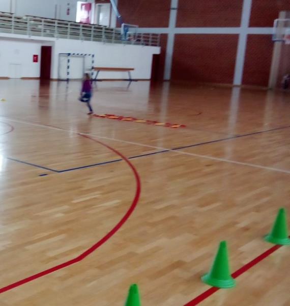 foto/vježbanje za olimpijadu dv 4